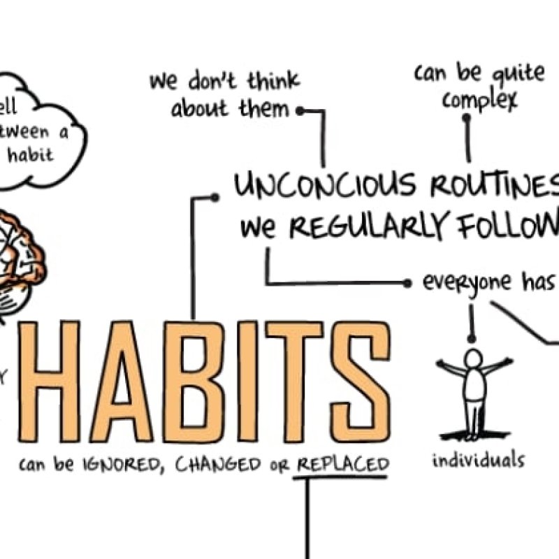 AES004 Habits (kebiasaan) : Bagaimana Pikiran Manusia Bekerja