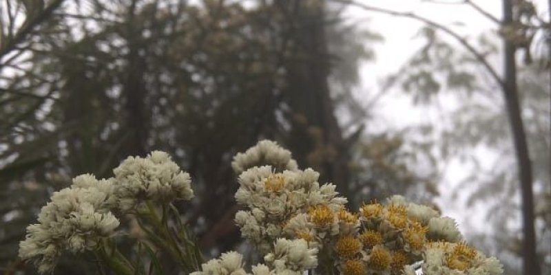 AES27 Don't Take Anything but Pictures