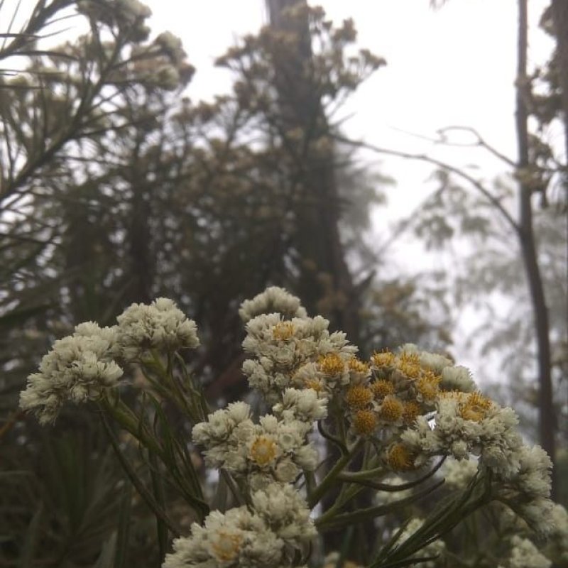 AES27 Don't Take Anything but Pictures