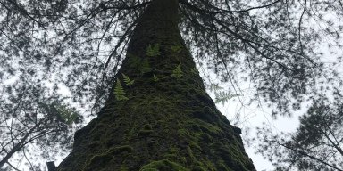 AES29 Don't Kill Anything But Time