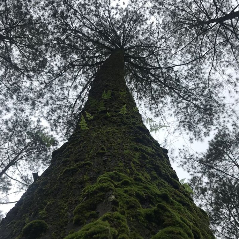 AES29 Don't Kill Anything But Time