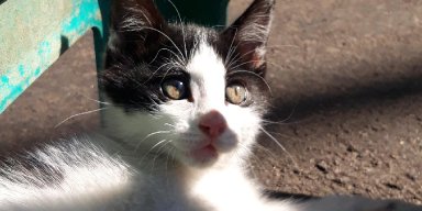 AES30 Perpisahan (1)