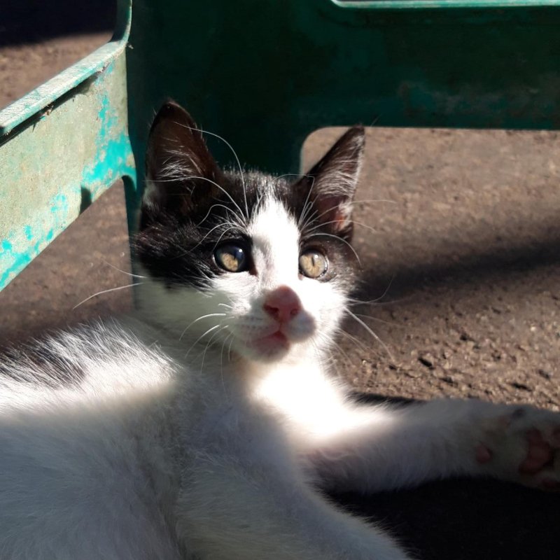 AES30 Perpisahan (1)