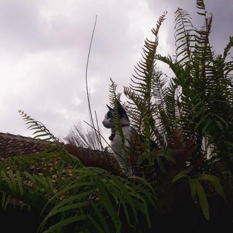 AES31 Perpisahan (2)