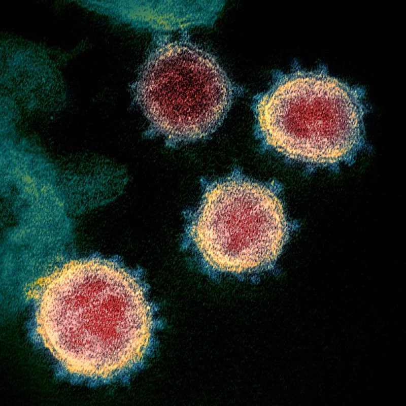 Tindakan Mitigasi yang Benar Agar Virus Tidak Masuk Lingkungan Rumah
