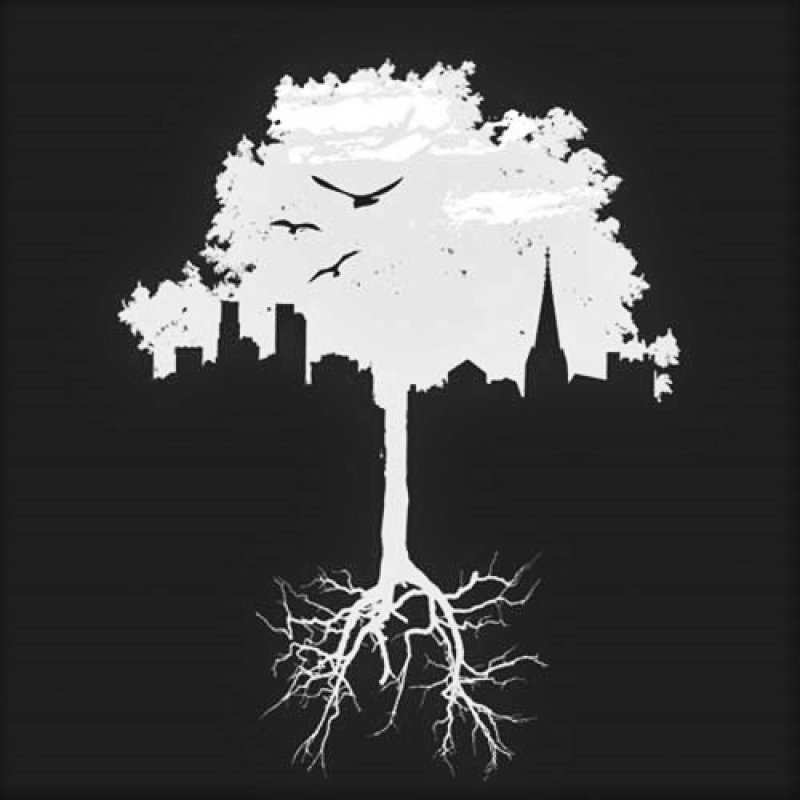 AES114 Rural Villages vs. Advanced Metropolitan