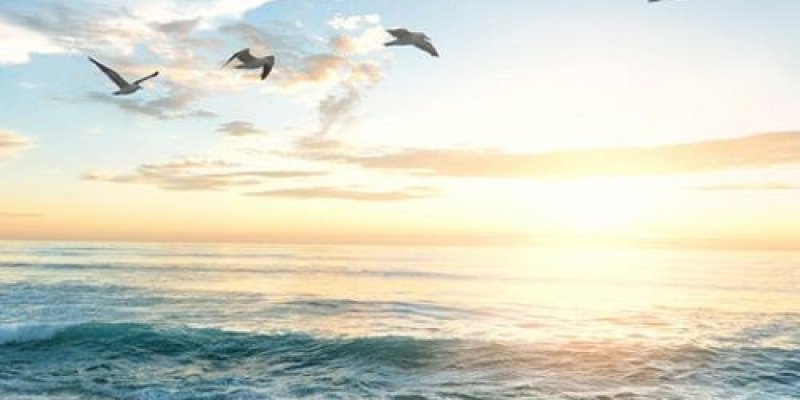 AES010 Diluar Kendali