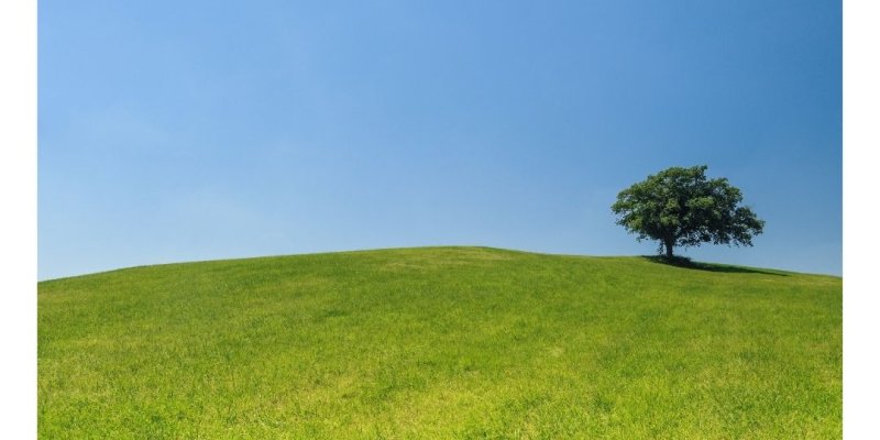 AES024 Seeds of Thought