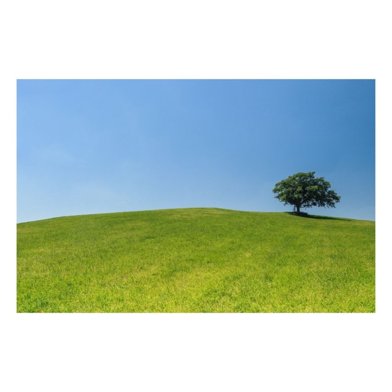 AES024 Seeds of Thought