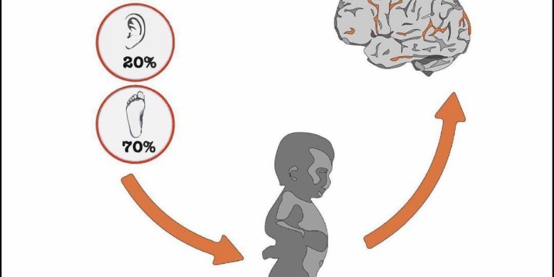 AES 116 Serial Televisi