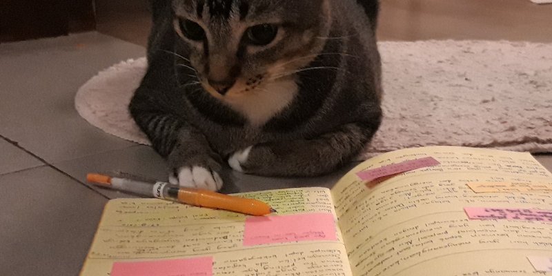 AES50 Membaca Buku