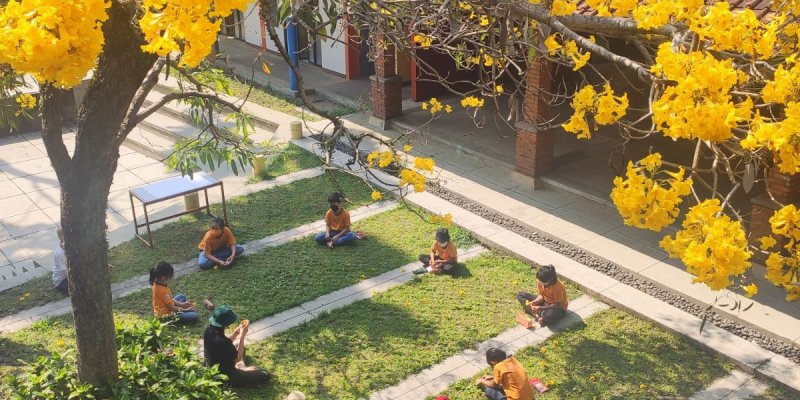 AES50 Di Bawah Pohon Tabebuya