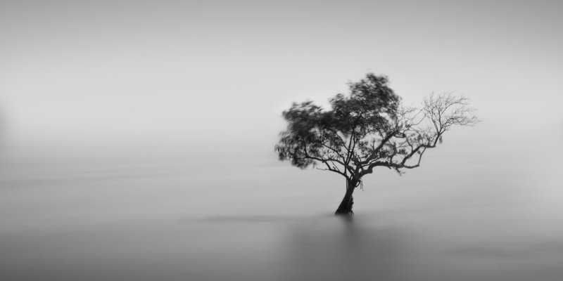 AES151 Kembali ke Alam Mimpi... 