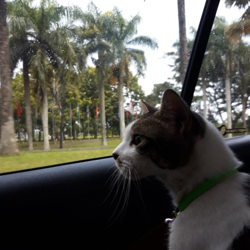 AES04 Charles dan Hobinya