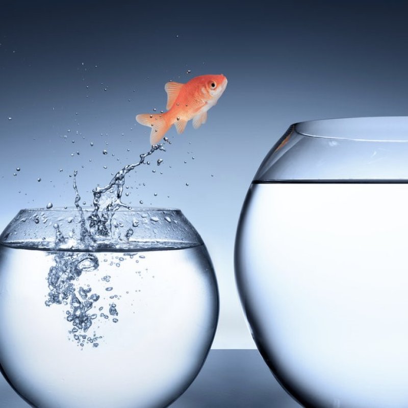 AES149 Go A Little Further