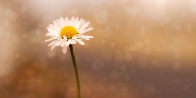 AES059 Mengenang Ibu Witono