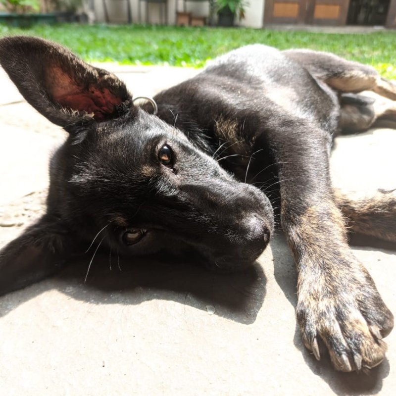 AES04 A Living Responsibility