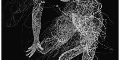 AES061 Melambat Bersama Fascia