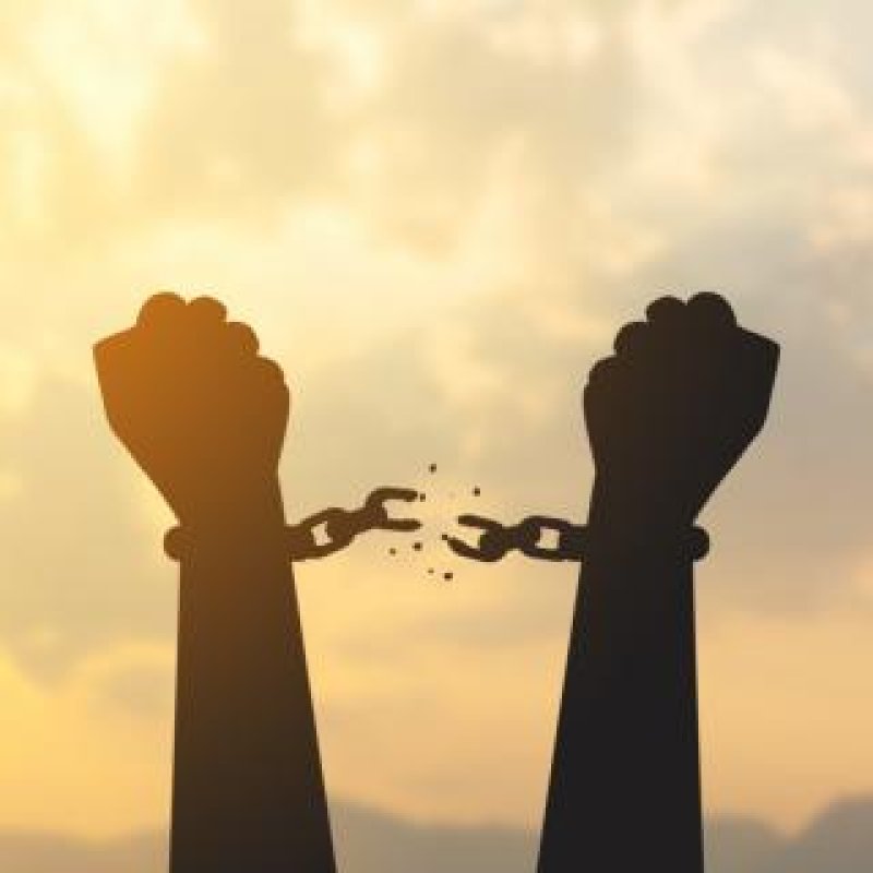 AES165 Life&rsquo;s Pursuits