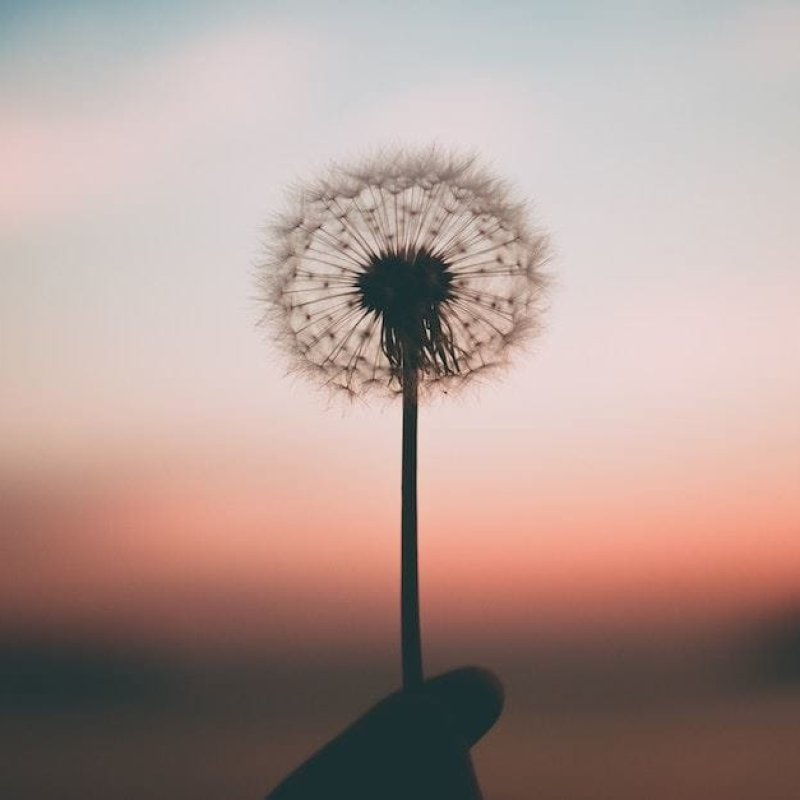 AES166 Air, Light, Time and Space