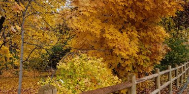 AES 166 Spiritual Journey