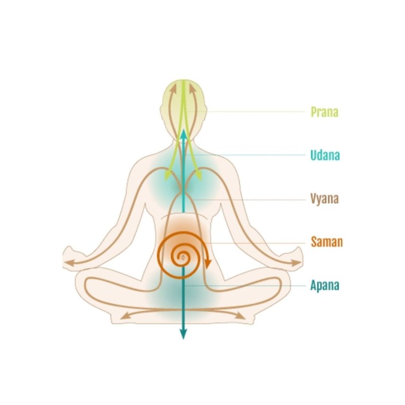 AES068 Jari dan Napas #5