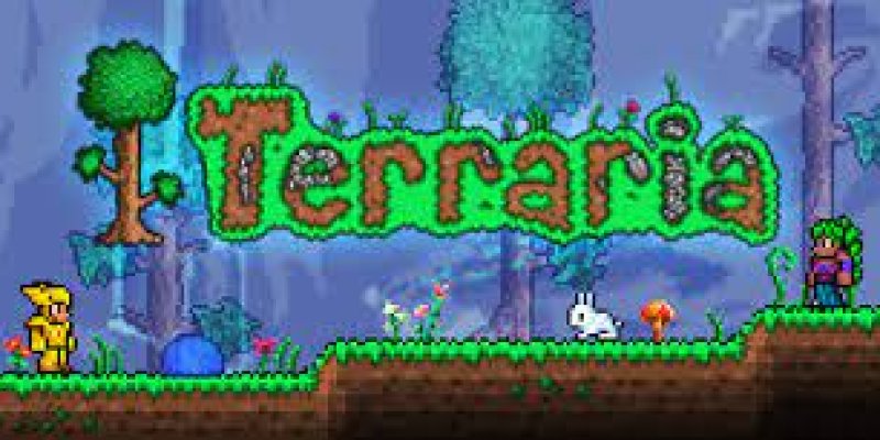 AES #65 Terraria