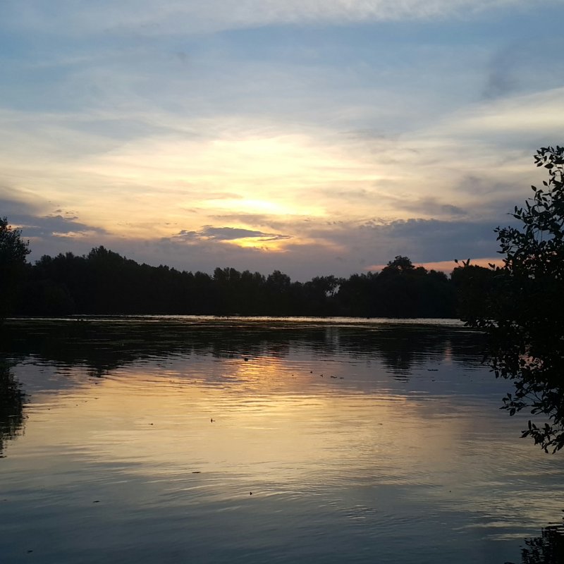 AES182 Angke, Penanda Kerusakan Lingkungan di Jakarta Utara