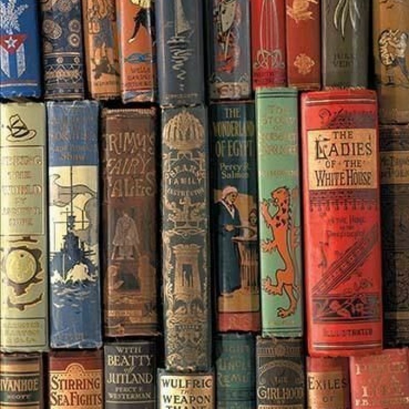 AES24 Buku dan Suaka