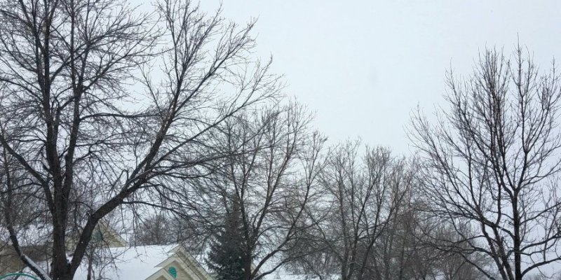 AES 179 Selamat Pagi