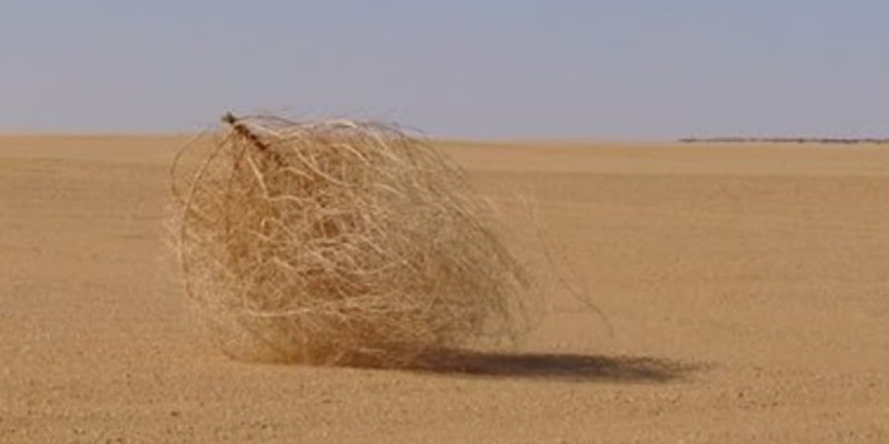 AES 208 Tumbleweed