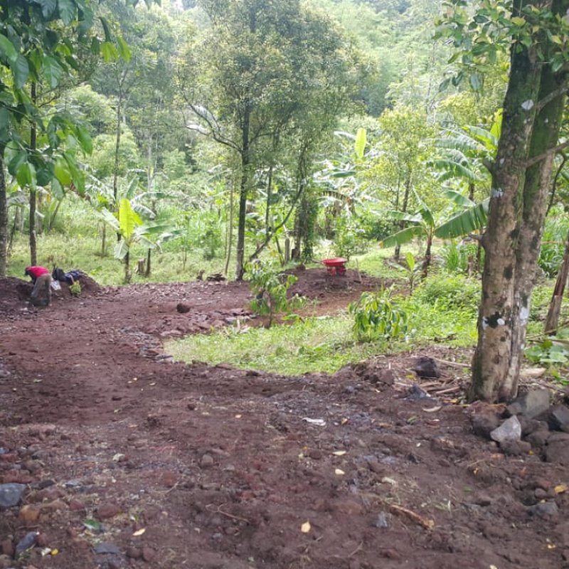 AES004 Proyek Kebon Kulon #1