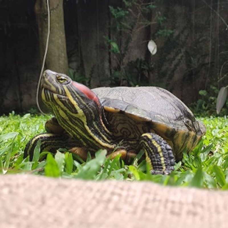 AES04 take your time