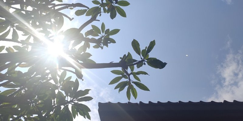 AES35 sprinkle simple pleasures