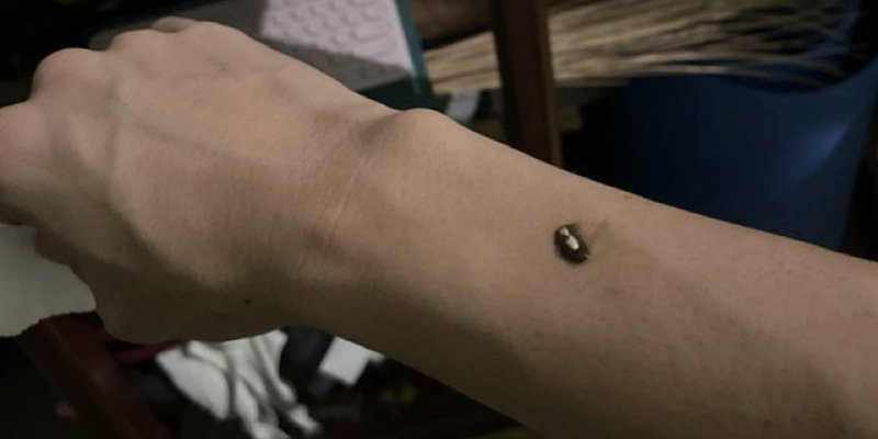 AES170 Price&rsquo;s Law of Scalling