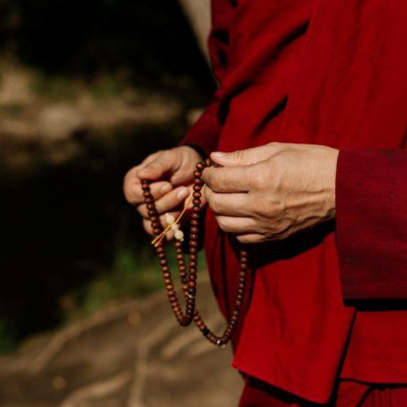 AES225 Wisdom from the Dalai Lama