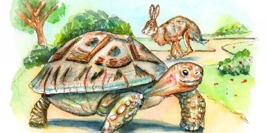 AES234 The Tortoise and the Hare