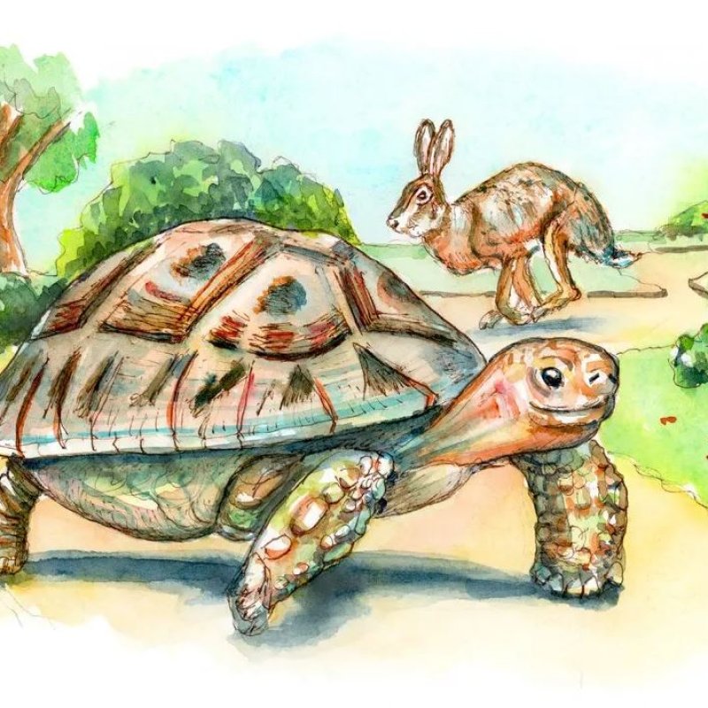 AES234 The Tortoise and the Hare