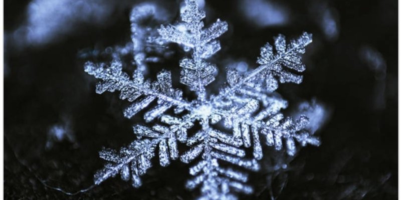 AES 248 Snowflakes