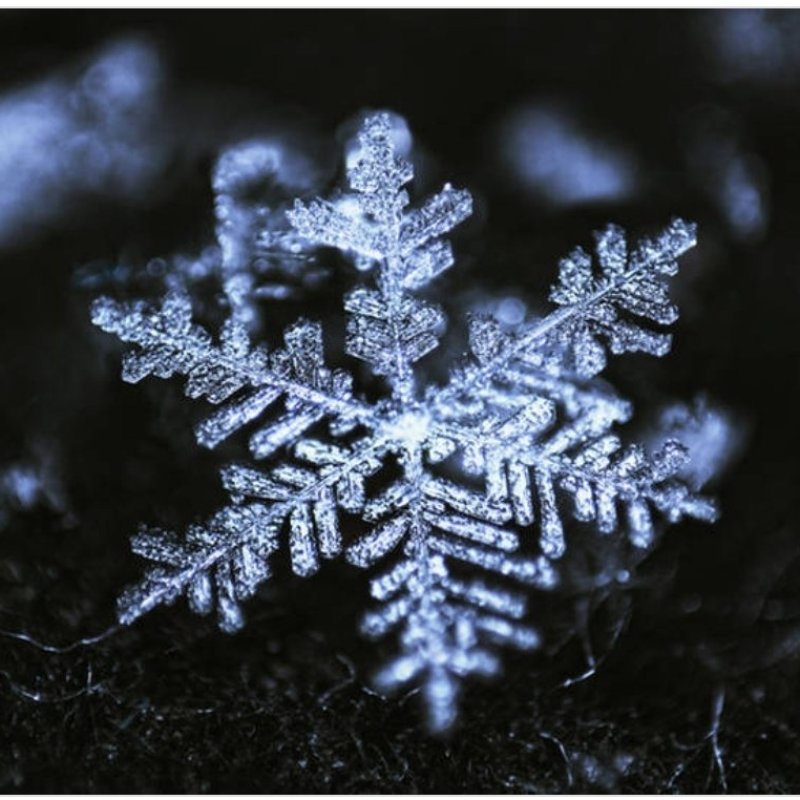 AES 248 Snowflakes