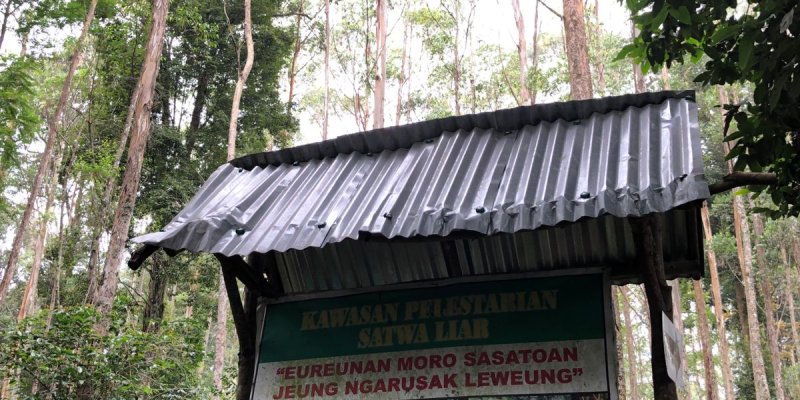 AES #77 Gambung, Pertama Kali!