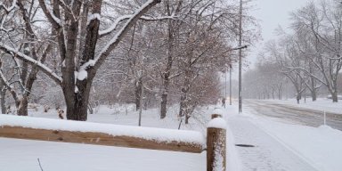 AES 250 What Am I Going To Write?