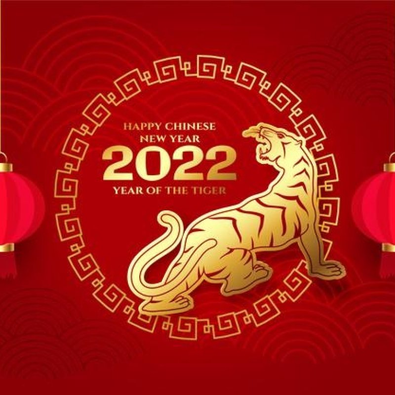 AES261 A Quiet Chinese New Year