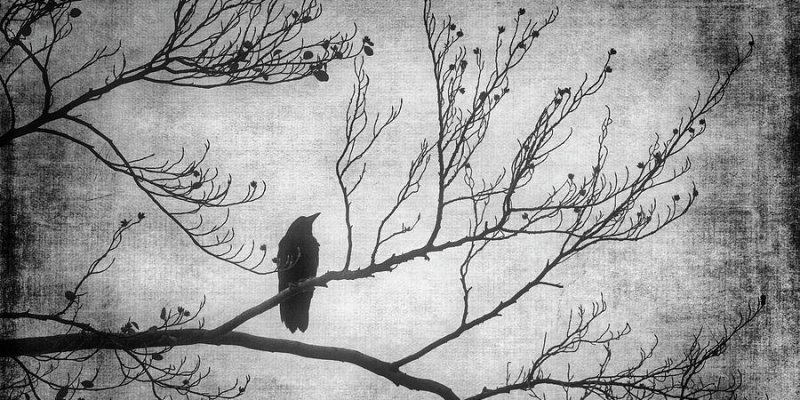 AES256 A Moment Too Late