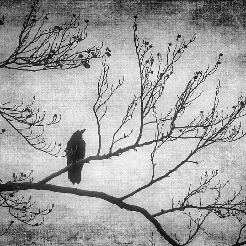 AES256 A Moment Too Late