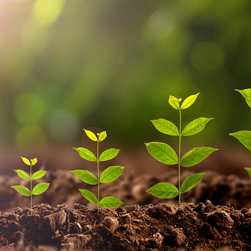 AES265 Little By Little