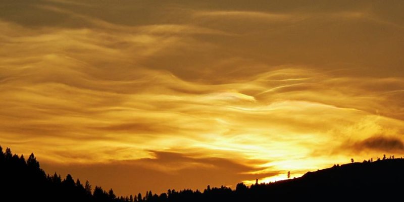 AES266 In Gold Lacquer