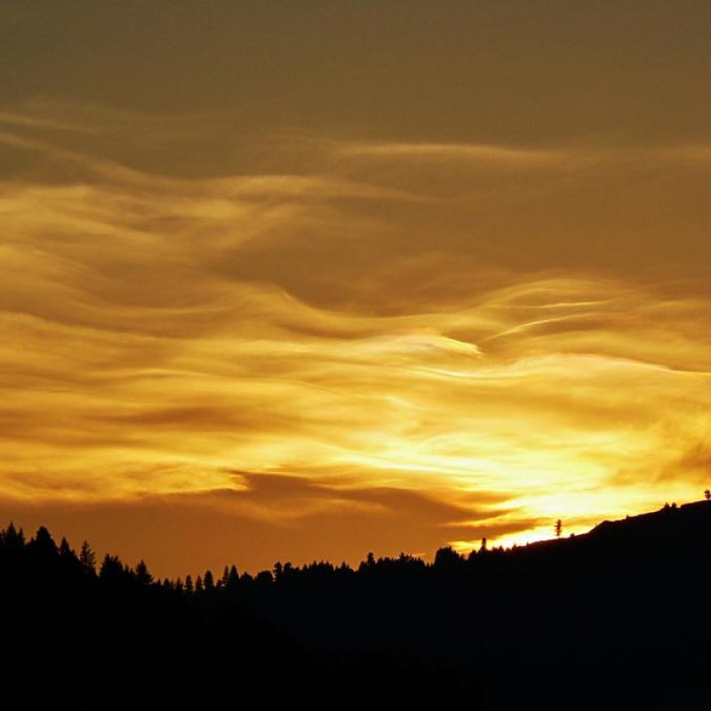 AES266 In Gold Lacquer