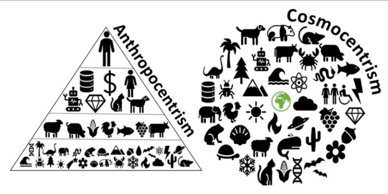 AES270 Ekonomi vs Ekologi