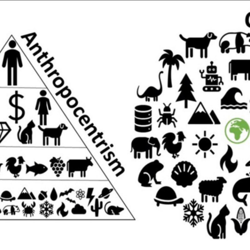 AES270 Ekonomi vs Ekologi